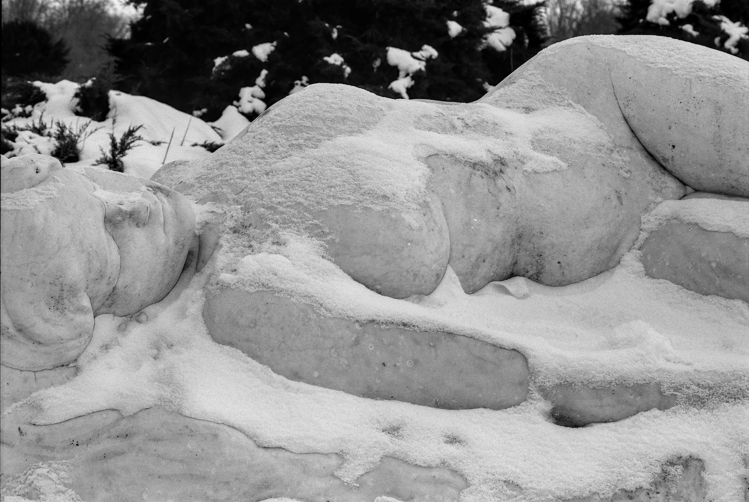 Naked City – Bucharest, 2026